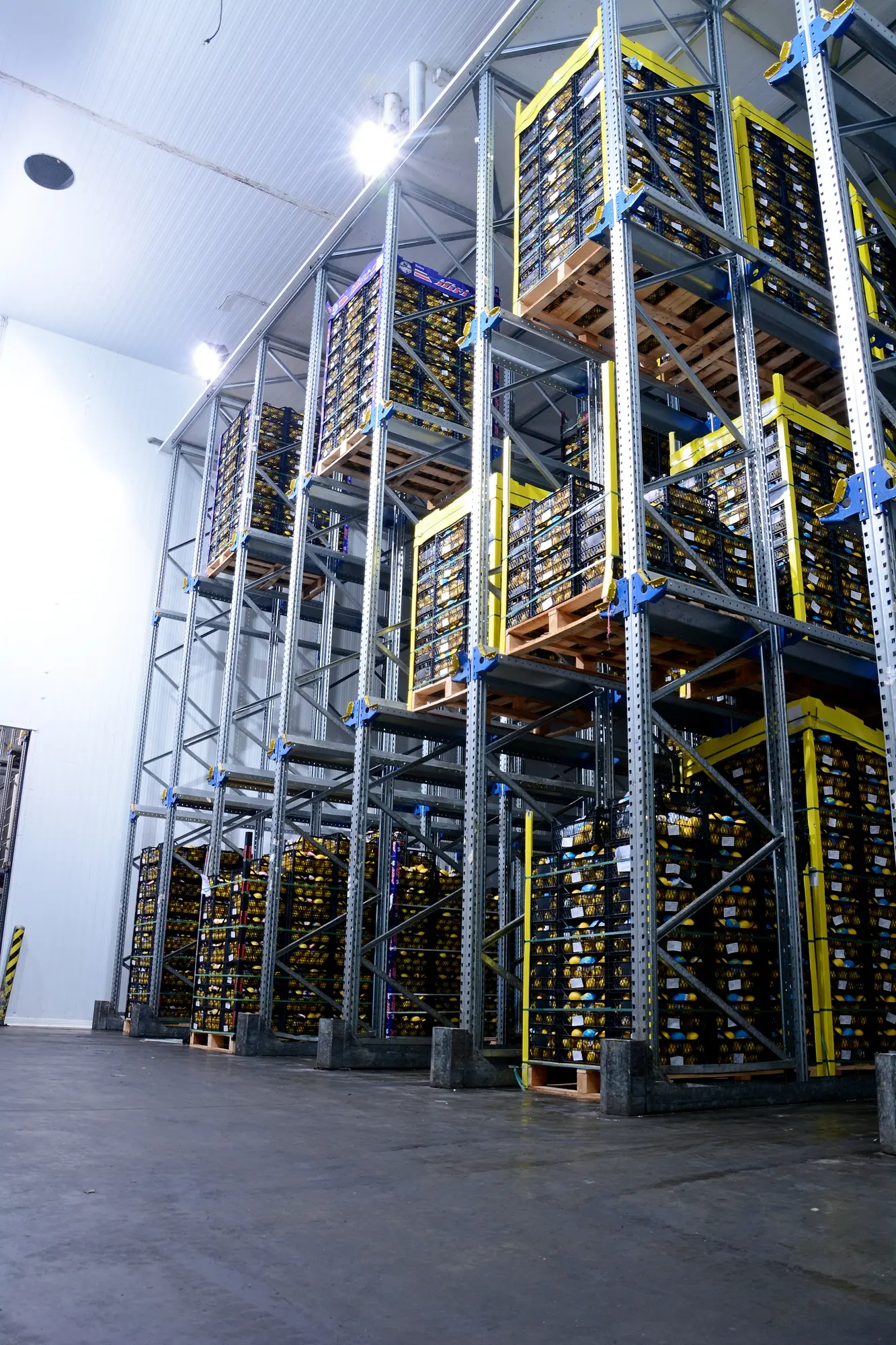 Warehouse Image 2